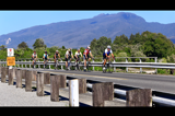 Cyclists on a road bridge