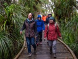 walkers on Kawatiri Coastal trail