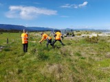 22022023 Replanting Oparara Estuary Reserve